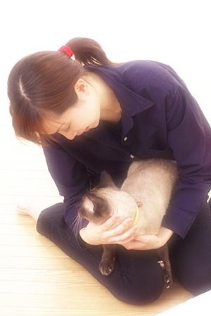 ペット保険は年齢と種類から選べます