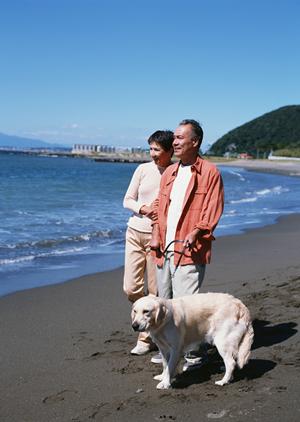 青山でペットと楽しむ！特別な日のためのおすすめレストランガイド