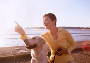 かわいい動物たちの魅力を味わえる店舗