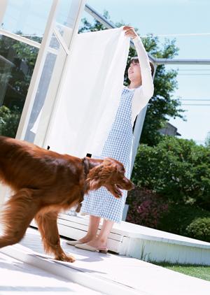 杉並区で動物病院の力を借りるとき