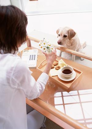 すぐ相談できる獣医師を見つけておこう